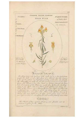 Reproducción/Reproduction 49788085036: Botanicum medicinale :. London :Printed for J. Millan, opposite the Admiralty, Whitehall,[1768?]. 