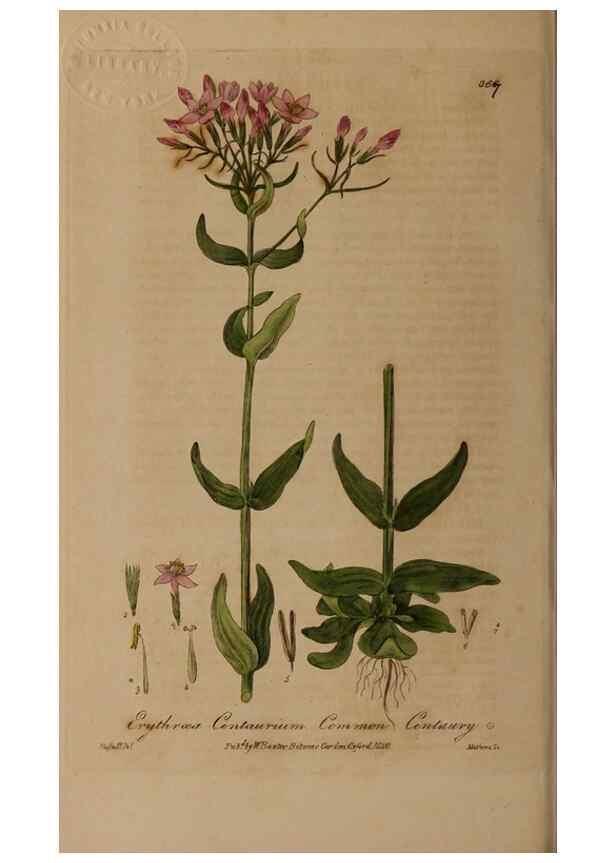 Reproducción/Reproduction 49788471422: British phaenogamous botany,. Oxford,Published by the author, sold by J.H. Parker [etc.]1834-43.. 