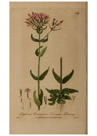 Reproducción/Reproduction 49788471422: British phaenogamous botany,. Oxford,Published by the author, sold by J.H. Parker [etc.]1834-43.. 