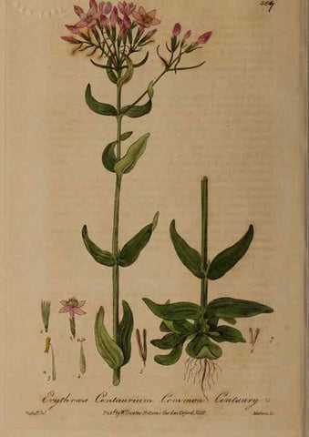 Reproducción/Reproduction 49788471422: British phaenogamous botany,. Oxford,Published by the author, sold by J.H. Parker [etc.]1834-43.. 