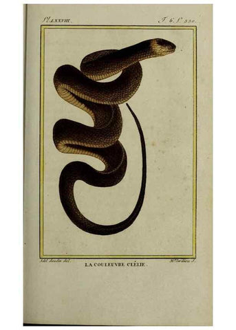 Reproducción/Reproduction 49814025342: Histoire naturelle, générale et particulière, des reptiles :. A Paris :De l'Imprimerie de F. Dufart,an X-XI [1802-1803]. 