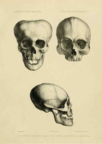 Reproducción/Reproduction 49813219978: Expédition dans les parties centrales de l'Amérique du Sud. Paris :Chez P. Bertrand,1850-1859.. 