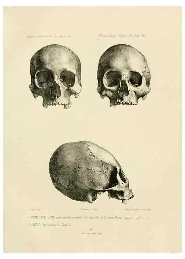 Reproducción/Reproduction 49814068422: Expédition dans les parties centrales de l'Amérique du Sud. Paris :Chez P. Bertrand,1850-1859.. 