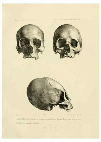 Reproducción/Reproduction 49814068422: Expédition dans les parties centrales de l'Amérique du Sud. Paris :Chez P. Bertrand,1850-1859.. 