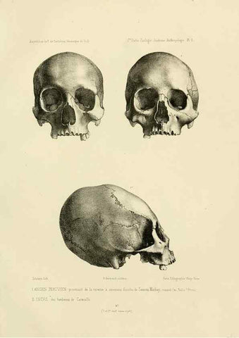Reproducción/Reproduction 49814068422: Expédition dans les parties centrales de l'Amérique du Sud. Paris :Chez P. Bertrand,1850-1859.. 