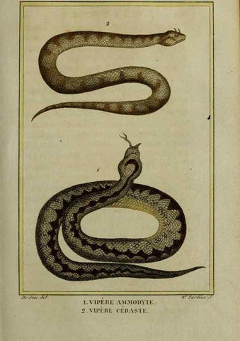 Reproducción/Reproduction 49813714551: Histoire naturelle, générale et particulière, des reptiles :. A Paris :De l'Imprimerie de F. Dufart,an X-XI [1802-1803]. 