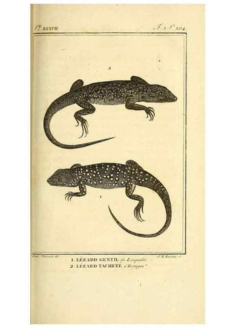 Reproducción/Reproduction 49813312653: Histoire naturelle, générale et particulière, des reptiles. A Paris :De l'Imprimerie de F. Dufart,an X-XI [1802-1803]. 