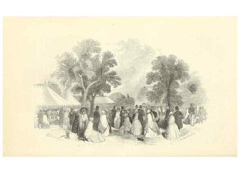 Reproducción/Reproduction 49813737722: The florist and garden miscellany.. London :Chapman and Hall,1850-1851.. 