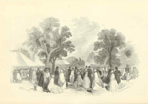 Reproducción/Reproduction 49813737722: The florist and garden miscellany.. London :Chapman and Hall,1850-1851.. 