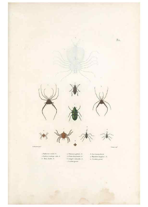 Reproducción/Reproduction 49814524227: Voyage autour du monde, entrepris par ordre du roi.. Paris,Chez Pillet aîné,1824-1844.. 
