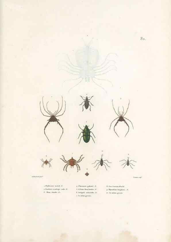 Reproducción/Reproduction 49814524227: Voyage autour du monde, entrepris par ordre du roi.. Paris,Chez Pillet aîné,1824-1844.. 