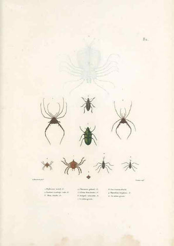 Reproducción/Reproduction 49814524227: Voyage autour du monde, entrepris par ordre du roi.. Paris,Chez Pillet aîné,1824-1844.. 