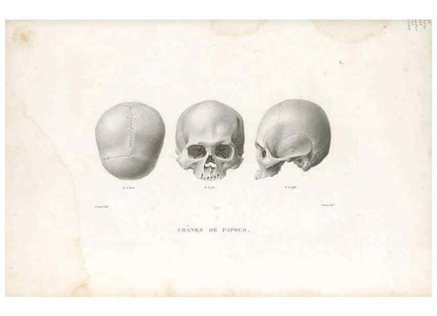 Reproducción/Reproduction 49814192516: Voyage autour du monde, entrepris par ordre du roi.. Paris,Chez Pillet aîné,1824-1844.. 