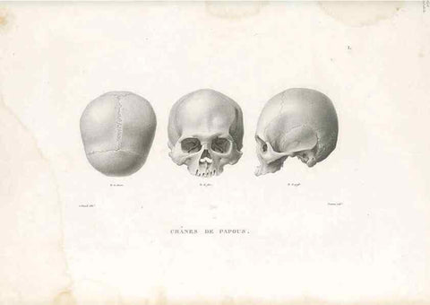 Reproducción/Reproduction 49814192516: Voyage autour du monde, entrepris par ordre du roi.. Paris,Chez Pillet aîné,1824-1844.. 