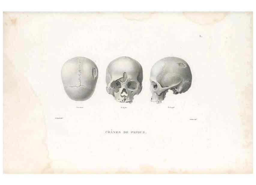 Reproducción/Reproduction 49813654748: Voyage autour du monde, entrepris par ordre du roi.. Paris,Chez Pillet aîné,1824-1844.. 