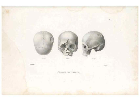 Reproducción/Reproduction 49813654748: Voyage autour du monde, entrepris par ordre du roi.. Paris,Chez Pillet aîné,1824-1844.. 
