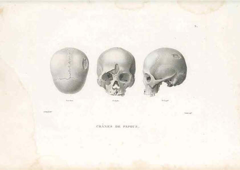Reproducción/Reproduction 49813654748: Voyage autour du monde, entrepris par ordre du roi.. Paris,Chez Pillet aîné,1824-1844.. 