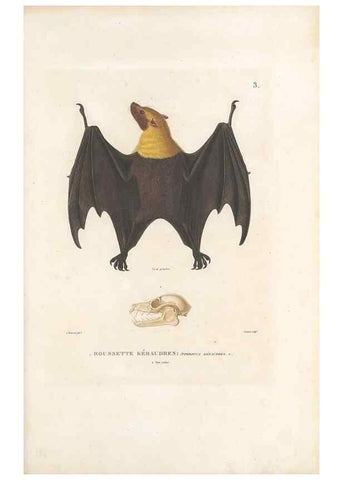 Reproducción/Reproduction 49814193131: Voyage autour du monde, entrepris par ordre du roi.. Paris,Chez Pillet aîné,1824-1844.. 