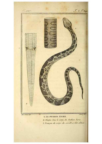Reproducción/Reproduction 49814489767: Histoire naturelle, générale et particulière, des reptiles. A Paris :De l'Imprimerie de F. Dufart,an X-XI [1802-1803]. 
