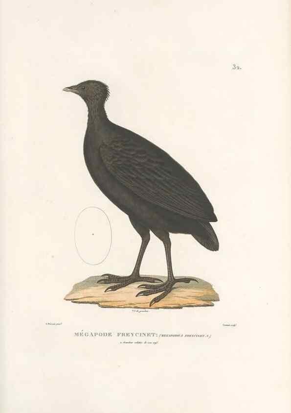 Reproducción/Reproduction 49813663353: Voyage autour du monde, entrepris par ordre du roi.. Paris,Chez Pillet aîné,1824-1844.. 