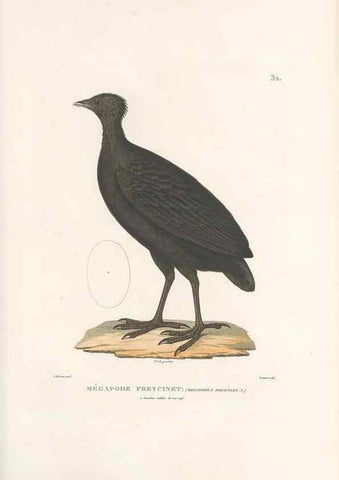 Reproducción/Reproduction 49813663353: Voyage autour du monde, entrepris par ordre du roi.. Paris,Chez Pillet aîné,1824-1844.. 