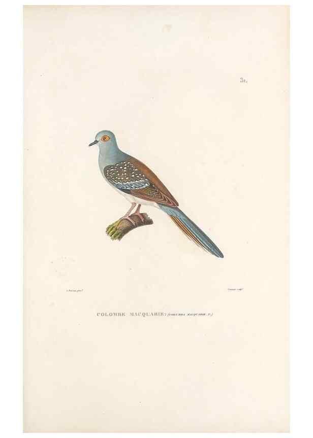 Reproducción/Reproduction 49814510712: Voyage autour du monde, entrepris par ordre du roi.. Paris,Chez Pillet aîné,1824-1844.. 