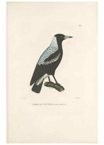 Reproducción/Reproduction 49813660033: Voyage autour du monde, entrepris par ordre du roi.. Paris,Chez Pillet aîné,1824-1844.. 