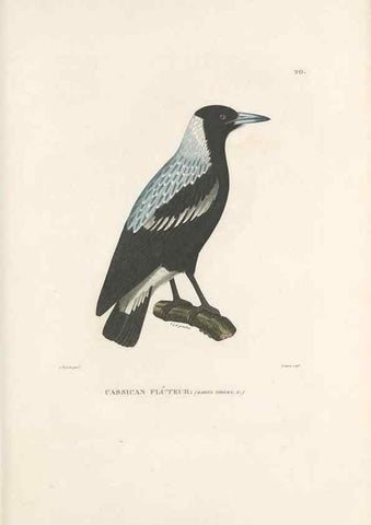 Reproducción/Reproduction 49813660033: Voyage autour du monde, entrepris par ordre du roi.. Paris,Chez Pillet aîné,1824-1844.. 