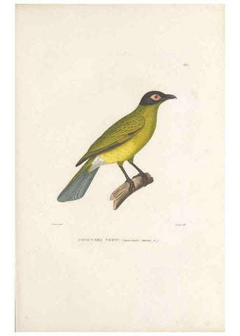 Reproducción/Reproduction 49813660343: Voyage autour du monde, entrepris par ordre du roi.. Paris,Chez Pillet aîné,1824-1844.. 