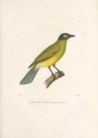 Reproducción/Reproduction 49813660343: Voyage autour du monde, entrepris par ordre du roi.. Paris,Chez Pillet aîné,1824-1844.. 