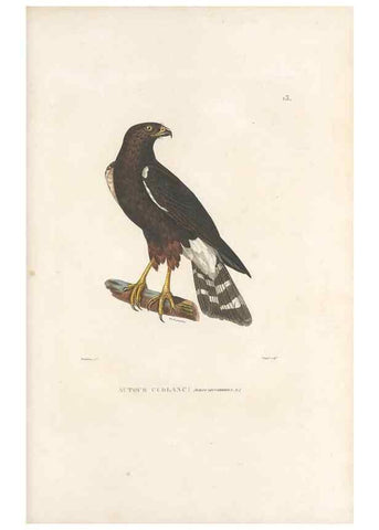 Reproducción/Reproduction 49813658218: Voyage autour du monde, entrepris par ordre du roi.. Paris,Chez Pillet aîné,1824-1844.. 