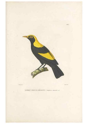 Reproducción/Reproduction 49813660623: Voyage autour du monde, entrepris par ordre du roi.. Paris,Chez Pillet aîné,1824-1844.. 