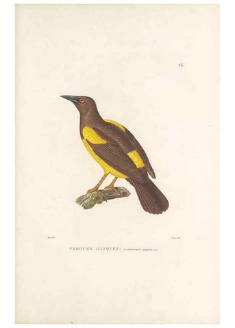 Reproducción/Reproduction 49813661228: Voyage autour du monde, entrepris par ordre du roi.. Paris,Chez Pillet aîné,1824-1844.. 