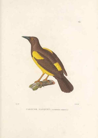 Reproducción/Reproduction 49813661228: Voyage autour du monde, entrepris par ordre du roi.. Paris,Chez Pillet aîné,1824-1844.. 