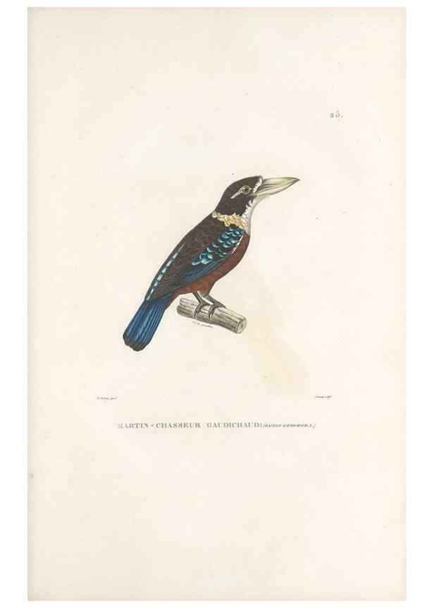 Reproducción/Reproduction 49813661478: Voyage autour du monde, entrepris par ordre du roi.. Paris,Chez Pillet aîné,1824-1844.. 