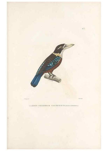 Reproducción/Reproduction 49813661478: Voyage autour du monde, entrepris par ordre du roi.. Paris,Chez Pillet aîné,1824-1844.. 