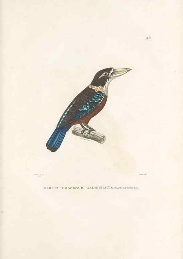 Reproducción/Reproduction 49813661478: Voyage autour du monde, entrepris par ordre du roi.. Paris,Chez Pillet aîné,1824-1844.. 