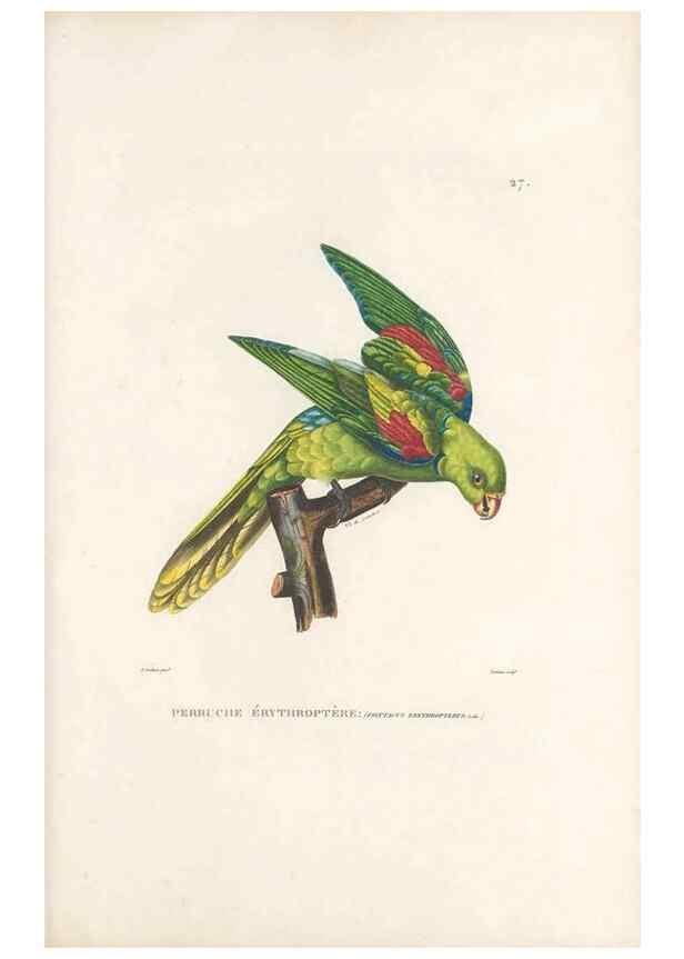 Reproducción/Reproduction 49813662013: Voyage autour du monde, entrepris par ordre du roi.. Paris,Chez Pillet aîné,1824-1844.. 