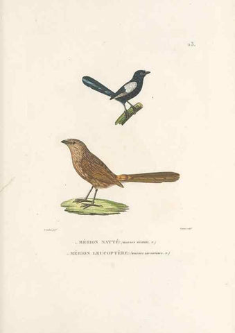 Reproducción/Reproduction 49814198771: Voyage autour du monde, entrepris par ordre du roi.. Paris,Chez Pillet aîné,1824-1844.. 