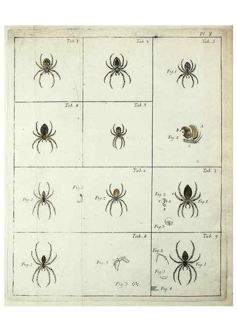 Reproducción/Reproduction 49806408978: Svenska spindlar. Stockholmiae :Literis Laur. Salvii,MDCCLVII [1757]. 