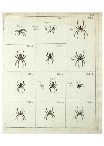 Reproducción/Reproduction 49806964621: Svenska spindlar. Stockholmiae :Literis Laur. Salvii,MDCCLVII [1757]. 