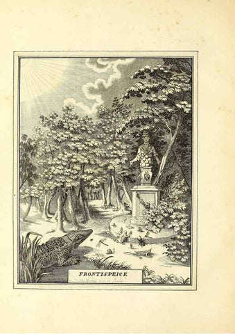 Reproducción/Reproduction 49807105631: An exposition of English insects. London :Printed for the author and sold by Messrs. Robson and Co. ... and Messrs. Dilly ...,1776.. 