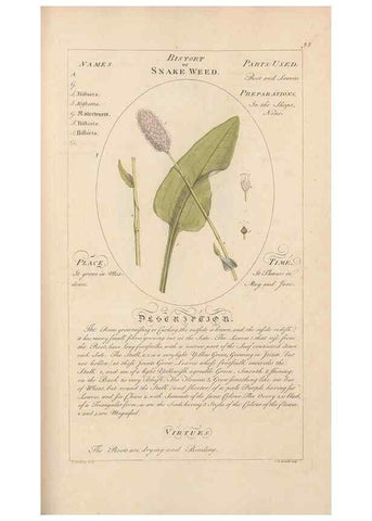 Reproducción/Reproduction 49788403557: Botanicum medicinale :. London :Printed for J. Millan, opposite the Admiralty, Whitehall,[1768?]. 