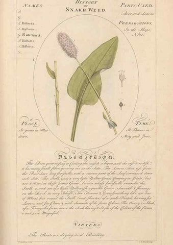 Reproducción/Reproduction 49788403557: Botanicum medicinale :. London :Printed for J. Millan, opposite the Admiralty, Whitehall,[1768?]. 