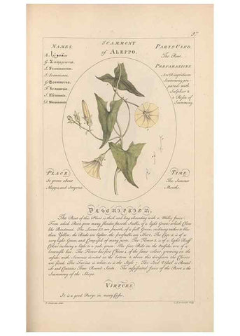 Reproducción/Reproduction 49788083206: Botanicum medicinale :. London :Printed for J. Millan, opposite the Admiralty, Whitehall,[1768?]. 