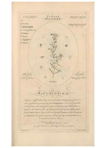 Reproducción/Reproduction 49787542203: Botanicum medicinale :. London :Printed for J. Millan, opposite the Admiralty, Whitehall,[1768?]. 
