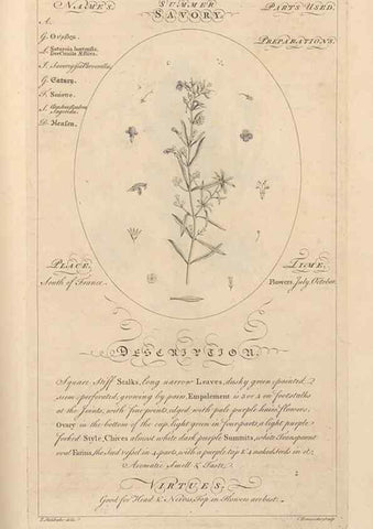Reproducción/Reproduction 49787542203: Botanicum medicinale :. London :Printed for J. Millan, opposite the Admiralty, Whitehall,[1768?]. 