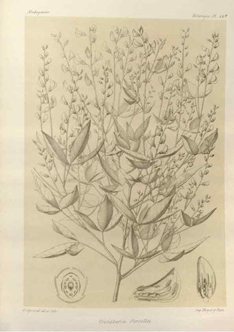 Reproducción/Reproduction 49786164902: Histoire physique, naturelle, et politique de Madagascar. Paris :Impr. nationale,1885-. 