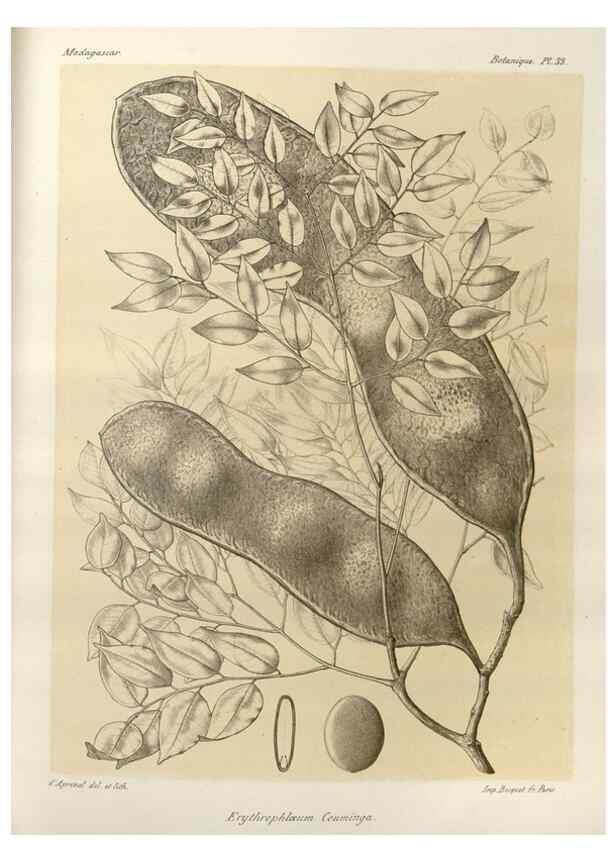 Reproducción/Reproduction 49785302278: Histoire physique, naturelle, et politique de Madagascar. Paris :Impr. nationale,1885-. 