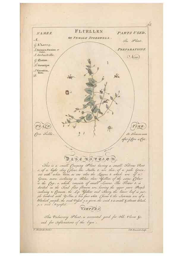 Reproducción/Reproduction 49787531783: Botanicum medicinale :. London :Printed for J. Millan, opposite the Admiralty, Whitehall,[1768?]. 